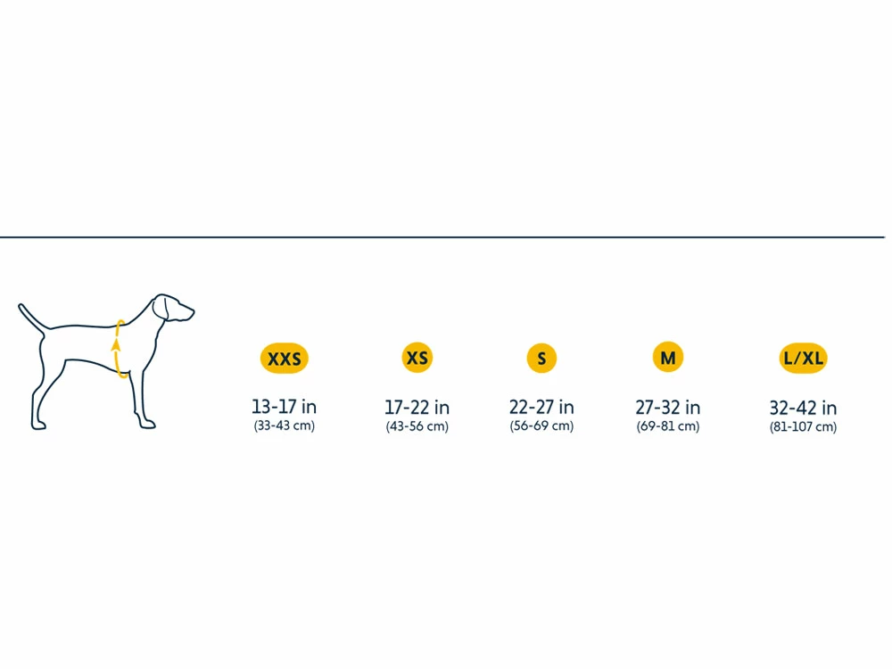 Ruffwear Front Range™ 2.0 Hundegeschirr Hibiscus Pink 8 Ruffwear Front Range™ 2.0 Hundegeschirr Hibiscus Pink – Bild 6