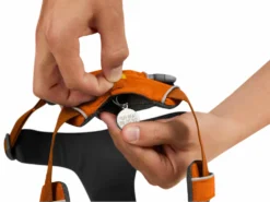 Ruffwear Front Range™ 2.0 Hundegeschirr Campfire Orange 11 Ruffwear Front Range™ 2.0 Hundegeschirr Campfire Orange -Günstiges Hundeshop Geschäft 621243 Product