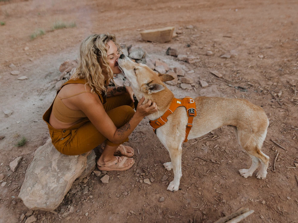 Ruffwear Front Range™ 2.0 Hundegeschirr Campfire Orange 7 Ruffwear Front Range™ 2.0 Hundegeschirr Campfire Orange – Bild 5