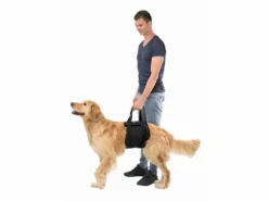 Trixie Hebehilfe Für Deinen Hund -Günstiges Hundeshop Geschäft 624488 Product