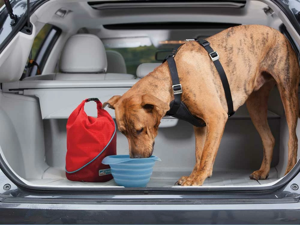 Kurgo Kibble Carrier 4 Kurgo Kibble Carrier – Bild 2