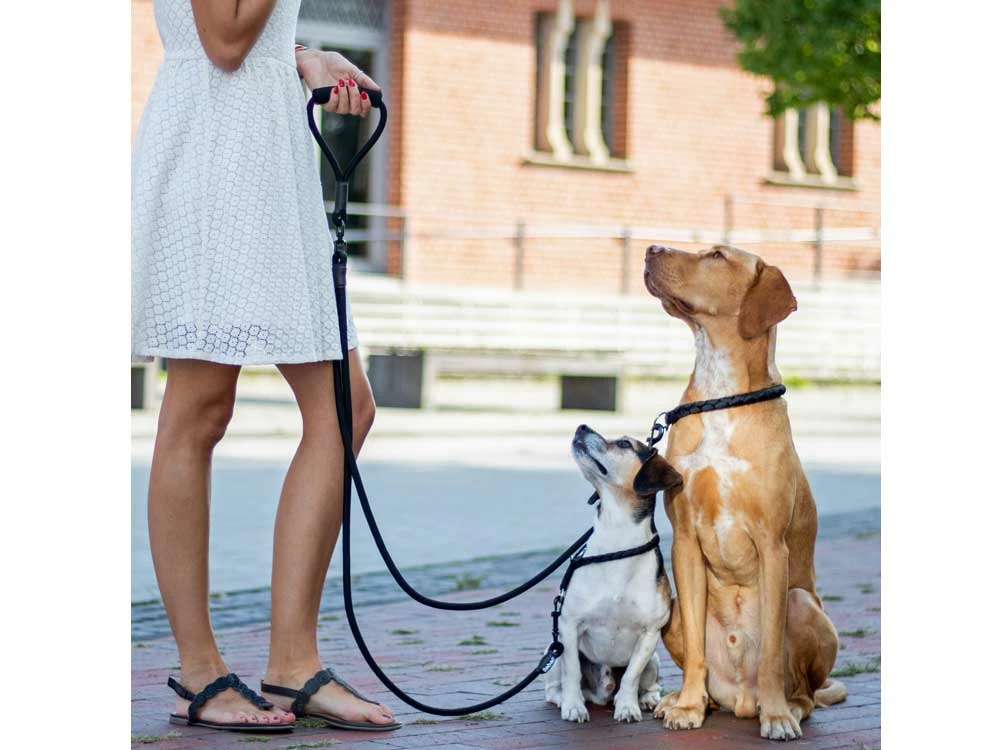 Kurgo Rebel Hundeleine Für Zwei Hunde 4 Kurgo Rebel Hundeleine Für Zwei Hunde – Bild 2