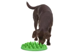 Northmate® Green - Interaktiver Hundenapf