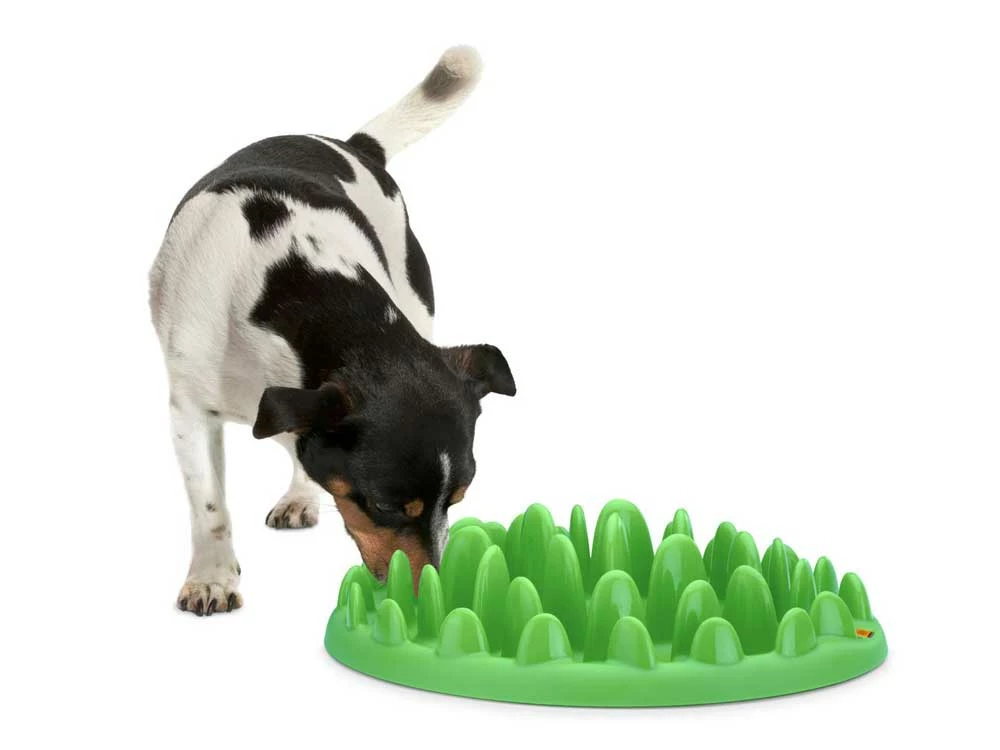 Northmate® Green - Interaktiver Hundenapf 4 Northmate® Green - Interaktiver Hundenapf – Bild 2