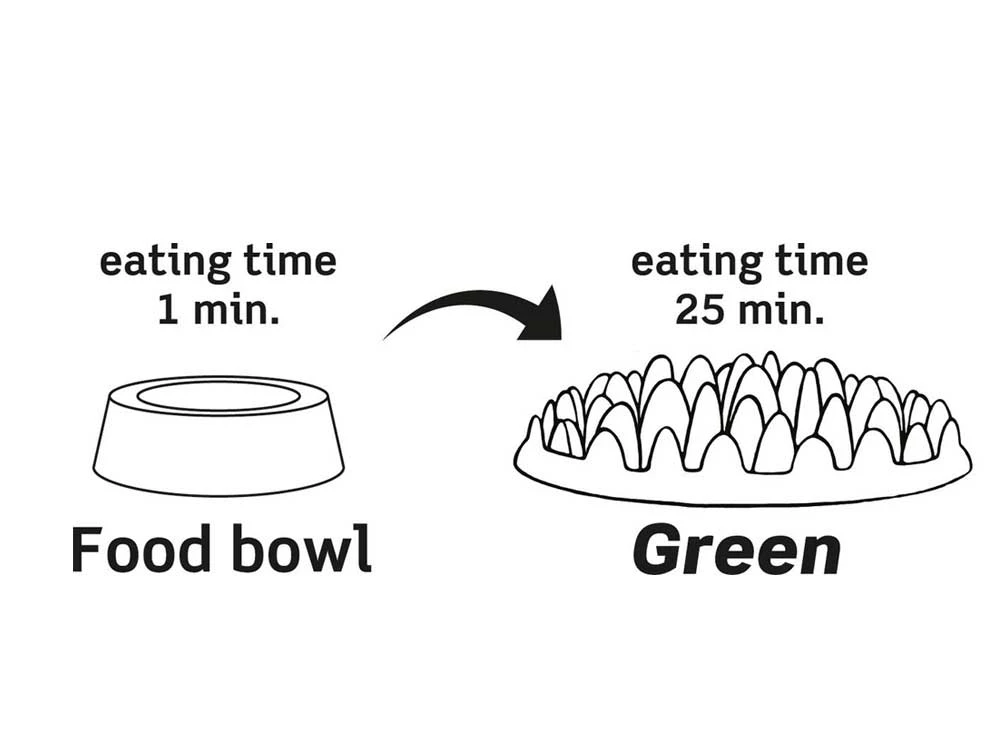 Northmate® Green - Interaktiver Hundenapf 5 Northmate® Green - Interaktiver Hundenapf – Bild 3
