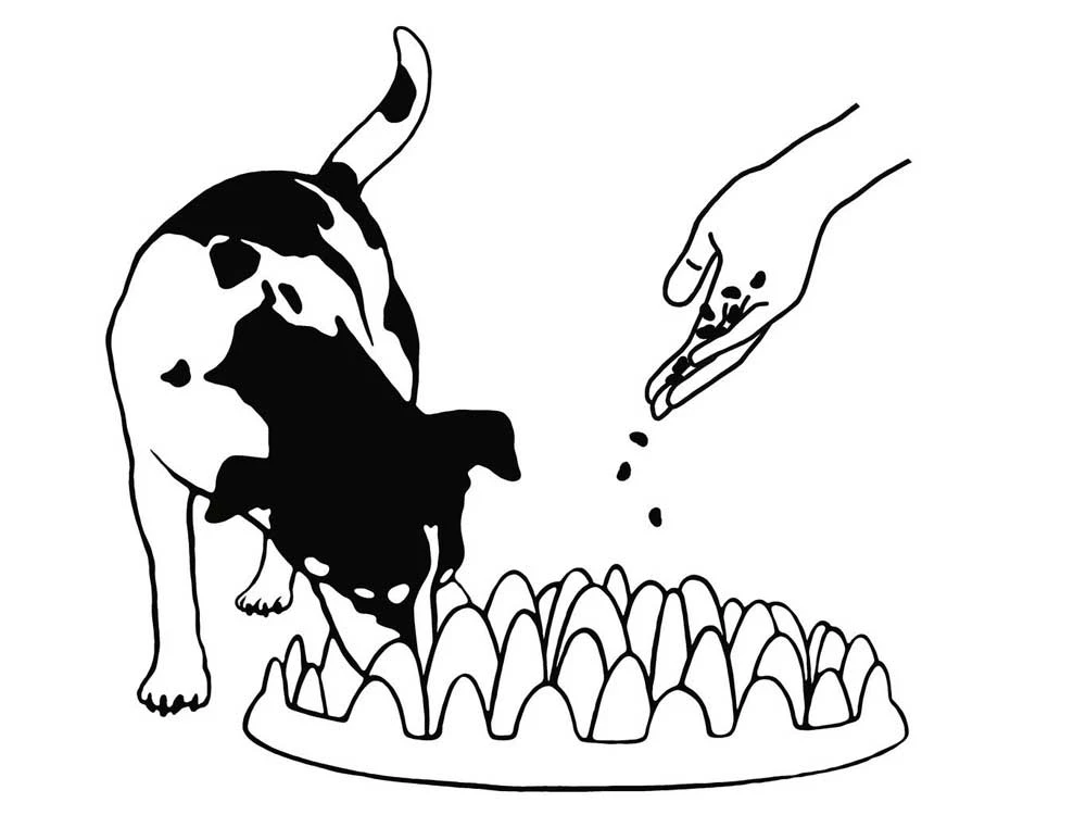 Northmate® Green - Interaktiver Hundenapf 6 Northmate® Green - Interaktiver Hundenapf – Bild 4