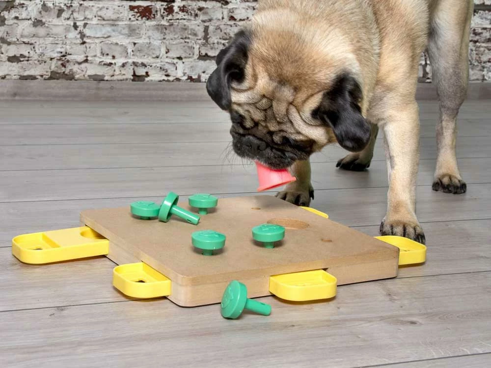 Denksport Trainer Cube 4 Denksport Trainer Cube – Bild 2