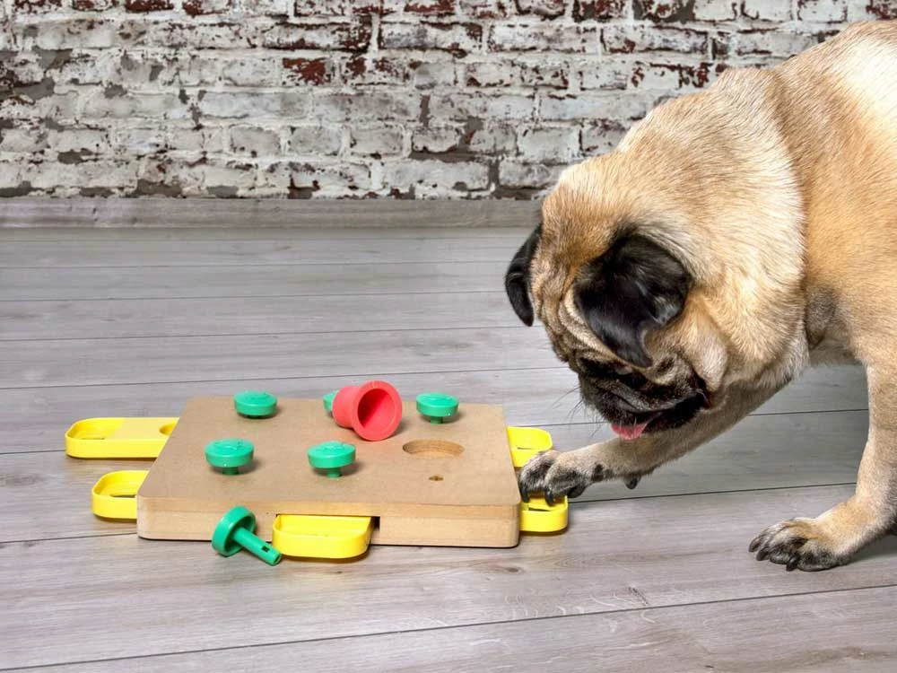 Denksport Trainer Cube 5 Denksport Trainer Cube – Bild 3