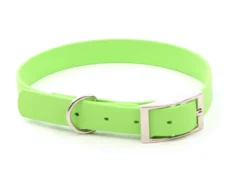 Relaxoo Biothane Hundehalsband Apple Green 19mm Breit
