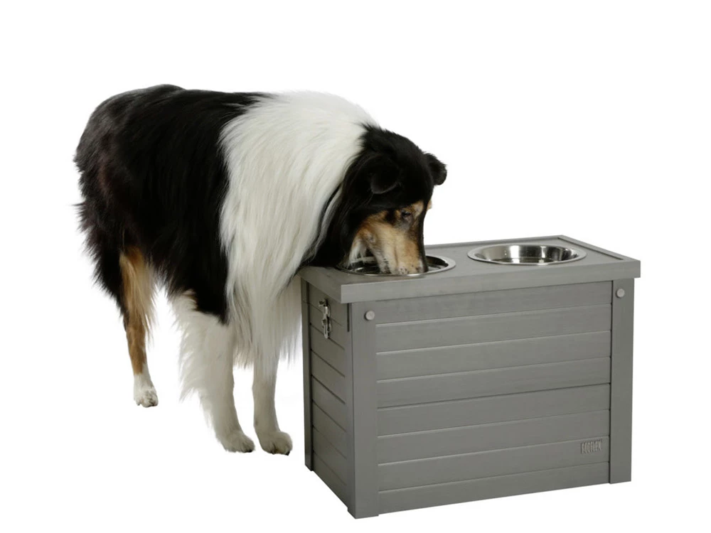 Hundebar ECO 6 Hundebar ECO – Bild 4