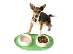 Beco Napfunterlage Silikon 11 Beco Napfunterlage Silikon -Günstiges Hundeshop Geschäft 660007 Product