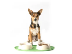 Beco Napfunterlage Silikon 12 Beco Napfunterlage Silikon -Günstiges Hundeshop Geschäft 660009 Product