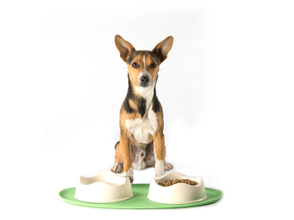 Beco Napfunterlage Silikon 7 Beco Napfunterlage Silikon – Bild 5