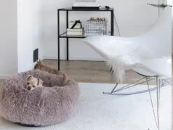 District 70 FUZZ Hundebett Donut Light Grey 7 District 70 FUZZ Hundebett Donut Light Grey -Günstiges Hundeshop Geschäft 660121 Product