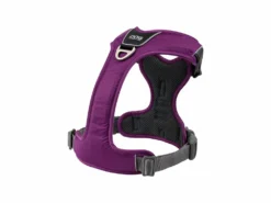 Comfort Walk Pro V2 Hundegeschirr Purple Passion 9 Comfort Walk Pro V2 Hundegeschirr Purple Passion -Günstiges Hundeshop Geschäft 672850 Product