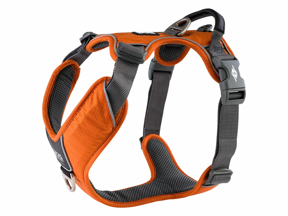 Comfort Walk Pro V2 Hundegeschirr Orange Sun 3 Comfort Walk Pro V2 Hundegeschirr Orange Sun