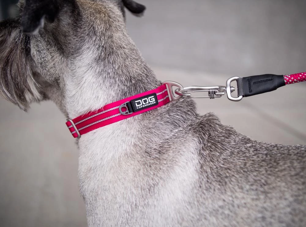 Dog Copenhagen Urban Style V2 Halsband Purple Passion 5 Dog Copenhagen Urban Style V2 Halsband Purple Passion – Bild 3