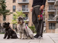 Dog Copenhagen Urban Trail V2 Hundeleine Cassic Red -Günstiges Hundeshop Geschäft 679712 Product