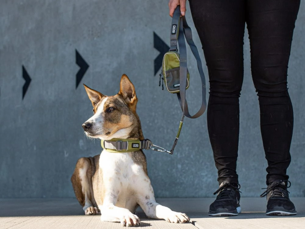 Dog Copenhagen Urban Trail V2 Hundeleine Hunting Green 8 Dog Copenhagen Urban Trail V2 Hundeleine Hunting Green – Bild 6
