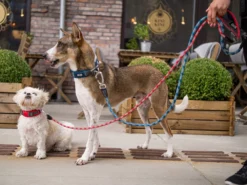 Dog Copenhagen Urban Rope V2 Hundeleine Mocca -Günstiges Hundeshop Geschäft 681352 Product