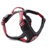 Wolters Active Pro Hundegeschirr Rot/schwarz 1 Wolters Active Pro Hundegeschirr Rot/schwarz -Günstiges Hundeshop Geschäft 691935 Product