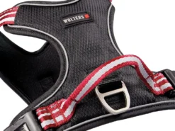 Wolters Active Pro Hundegeschirr Rot/schwarz 9 Wolters Active Pro Hundegeschirr Rot/schwarz -Günstiges Hundeshop Geschäft 691937 Product