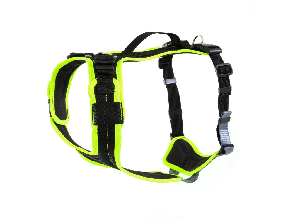 Grossenbacher Hundegeschirr Vary Neongelb 3 Grossenbacher Hundegeschirr Vary Neongelb