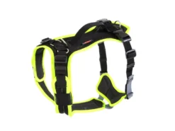 Grossenbacher Hundegeschirr Vary Neongelb 8 Grossenbacher Hundegeschirr Vary Neongelb -Günstiges Hundeshop Geschäft 696775 Product