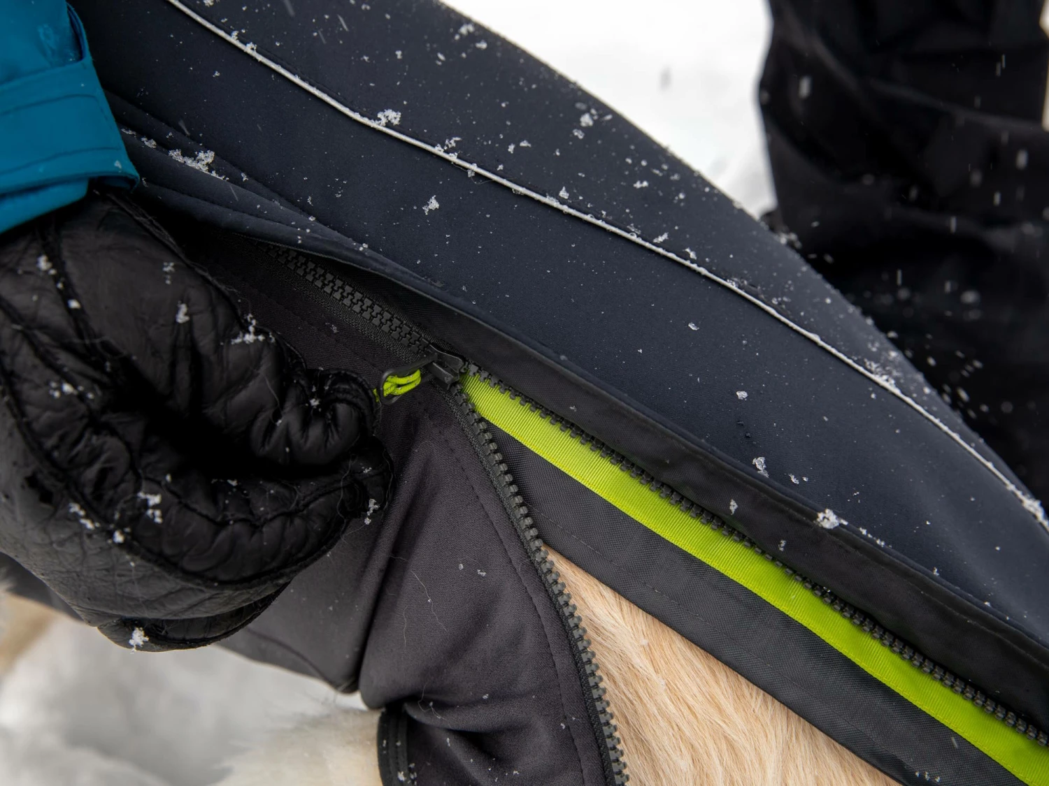 Ruffwear Cloud Chaser™ Winter Softshell Hundemantel Obsidian Black 6 Ruffwear Cloud Chaser™ Winter Softshell Hundemantel Obsidian Black – Bild 4