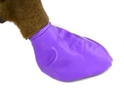 Protex Pawz Hundesocken Bunt 8 Protex Pawz Hundesocken Bunt -Günstiges Hundeshop Geschäft 706041 Product