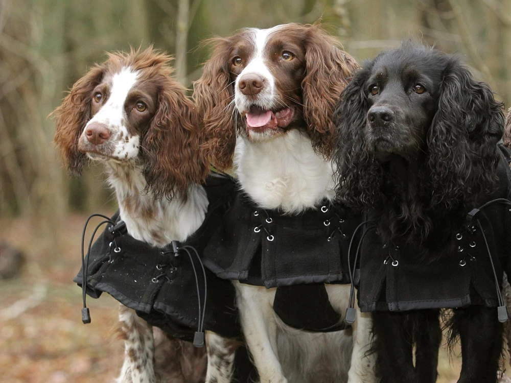 Back On Track Hundefleecemantel Supreme 5 Back On Track Hundefleecemantel Supreme – Bild 3