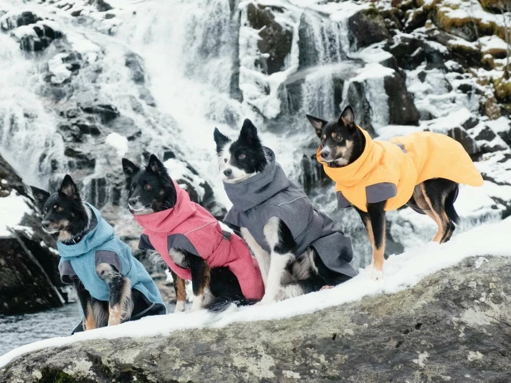 Hurtta Expedition Wintermantel Blackberry 4 Hurtta Expedition Wintermantel Blackberry – Bild 2