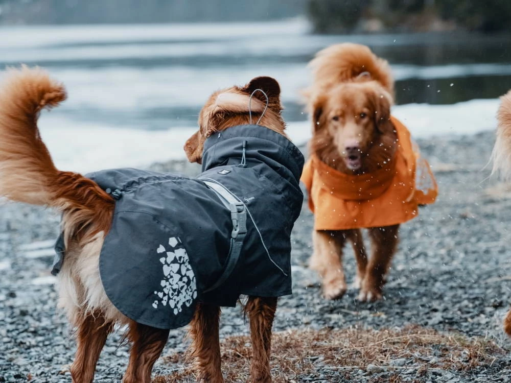 Hurtta Monsoon Regenmantel Blackberry Schwarz 4 Hurtta Monsoon Regenmantel Blackberry Schwarz – Bild 2