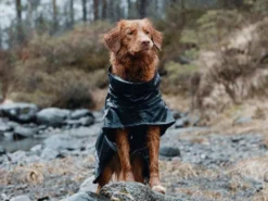 Hurtta Monsoon Regenmantel Blackberry Schwarz 9 Hurtta Monsoon Regenmantel Blackberry Schwarz -Günstiges Hundeshop Geschäft 750937 Product