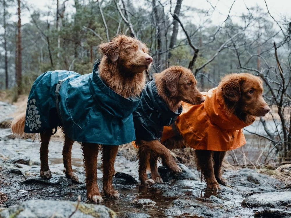 Hurtta Monsoon Regenmantel Bilberry Blau 4 Hurtta Monsoon Regenmantel Bilberry Blau – Bild 2