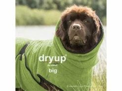 Dryup Cape Hundebademantel BIG Kiwi