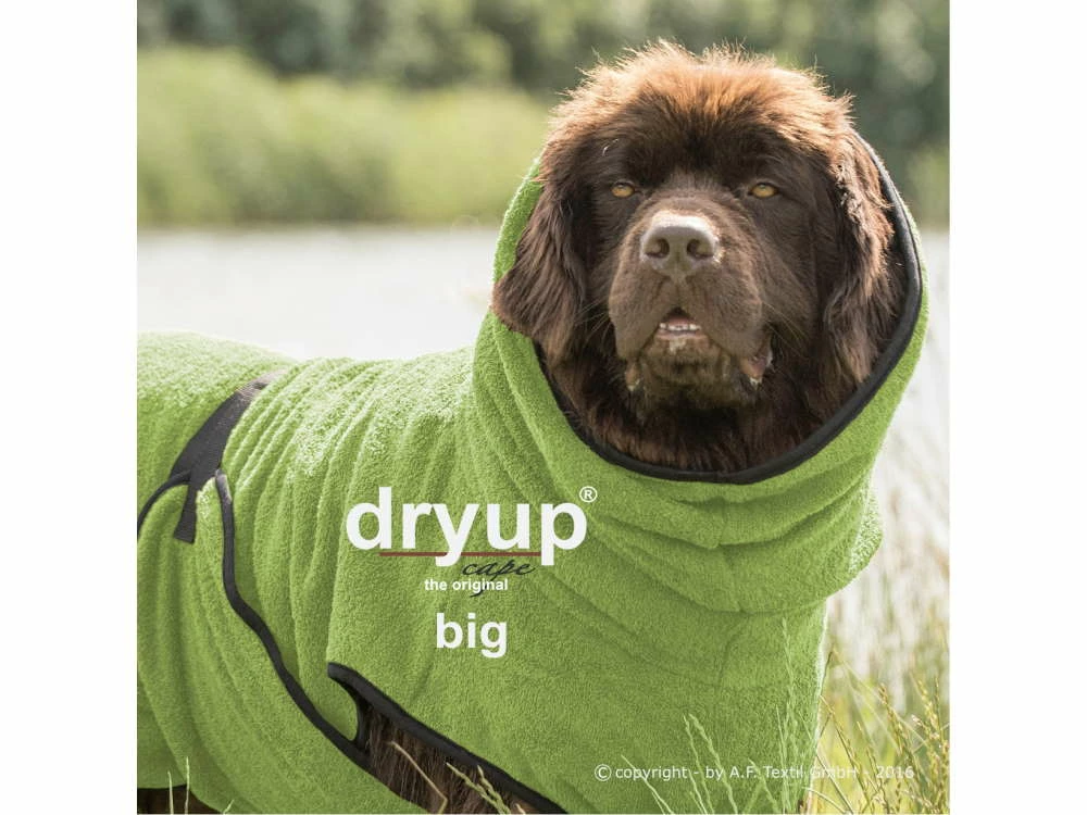 Dryup Cape Hundebademantel BIG Kiwi 3 Dryup Cape Hundebademantel BIG Kiwi