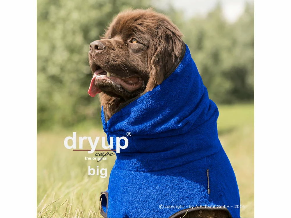 Dryup Cape Hundebademantel BIG Blueberry 3 Dryup Cape Hundebademantel BIG Blueberry