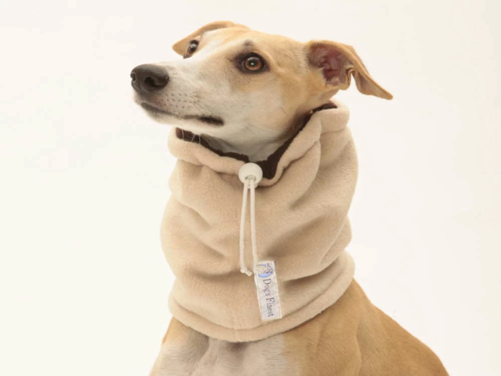 Windhund Snood Kashmiri 3 Windhund Snood Kashmiri