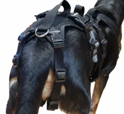 Grossenbacher Support X-Long Geschirr Mit 4 Gurten -Günstiges Hundeshop Geschäft 758025 Product