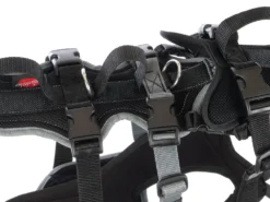 Grossenbacher Support X-Long Geschirr Mit 4 Gurten -Günstiges Hundeshop Geschäft 758031 Product