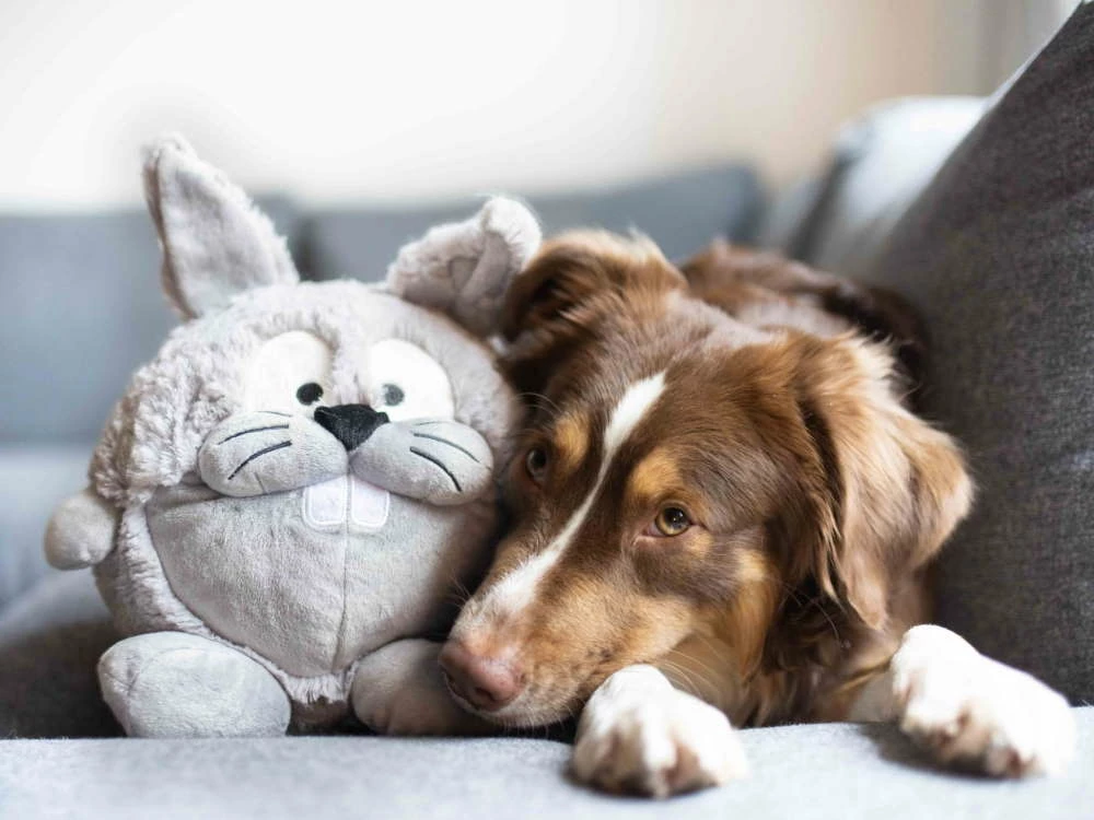 Wolters Plüschball Osterhase & Osterhäsin 5 Wolters Plüschball Osterhase & Osterhäsin – Bild 3