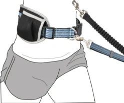 Jogging-Hüftgurt Mit Hundeleine Blau 11 Jogging-Hüftgurt Mit Hundeleine Blau -Günstiges Hundeshop Geschäft 822191 Product