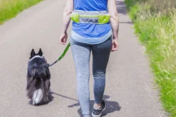 Jogging-Hüftgurt Mit Hundeleine Gelb 10 Jogging-Hüftgurt Mit Hundeleine Gelb -Günstiges Hundeshop Geschäft 822212 Product