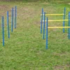 Dog Agility Trainings Set 2 2 Dog Agility Trainings Set 2 -Günstiges Hundeshop Geschäft 827454 Product