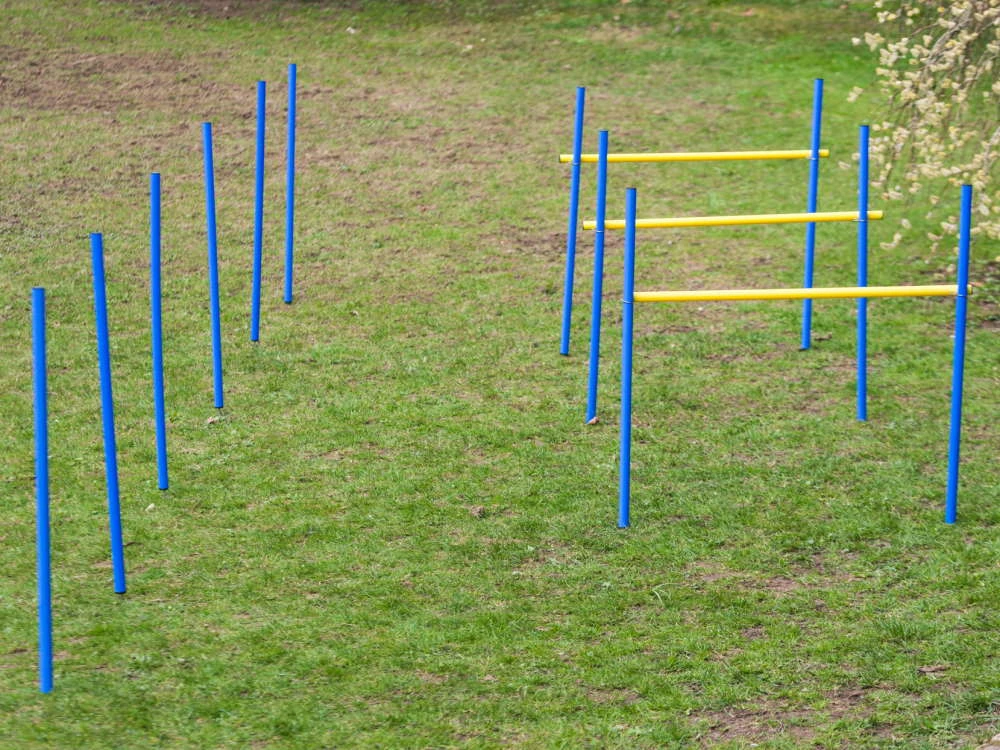 Dog Agility Trainings Set 2 3 Dog Agility Trainings Set 2