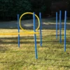 Dog Agility Trainings Set 1 2 Dog Agility Trainings Set 1 -Günstiges Hundeshop Geschäft 827461 Product