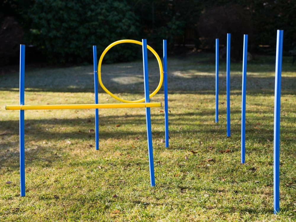Dog Agility Trainings Set 1 3 Dog Agility Trainings Set 1