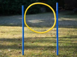 Dog Agility Trainings Set 1 9 Dog Agility Trainings Set 1 -Günstiges Hundeshop Geschäft 827482 Product