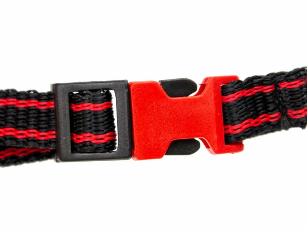 Maulkorb Safety-Click 5 Maulkorb Safety-Click – Bild 3